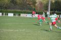 amIMG 6618